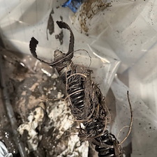 Sewer-Rodding-Service-in-Downers-Grove-IL 1